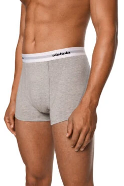 CC Boxershorts Gray Single -olakala Verkäufe 20231109 OlaKala eCom CC Underwear01 0249