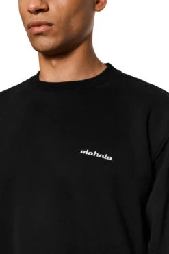 Neighbour´s Cherries Sweater Black -olakala Verkäufe 20250506 Olakala PANGEA eCom Look11 Oberteil 0761 06183f64 dddd 421a 8d9d 70d7414f3d36